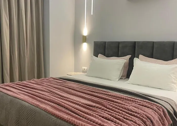 Lindi's 1 5 티라나